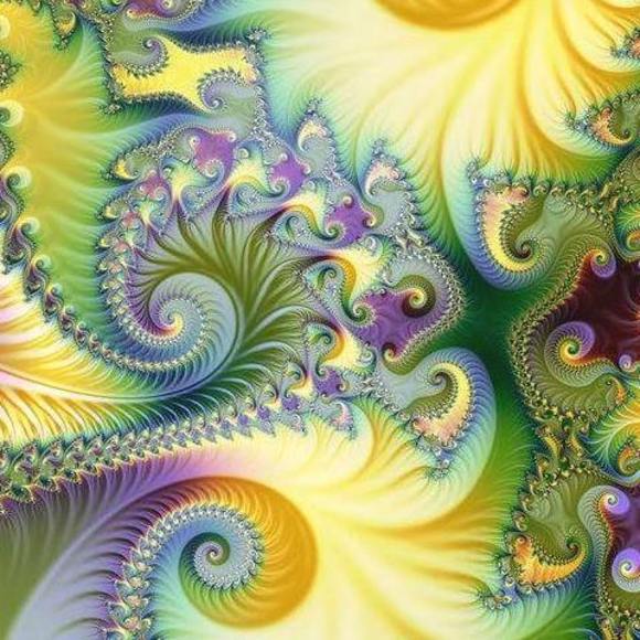 Meet your Posher, Betsy - Picture 2 of 2